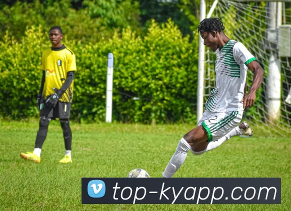 开云体育APP 封面图